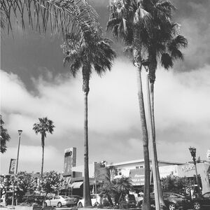 Meet your Posher, Joanna